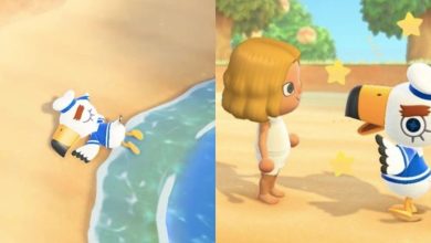 Split image of Gulliver passed out on the beach and a player with Gulliver in Animal Crossing New Horizons