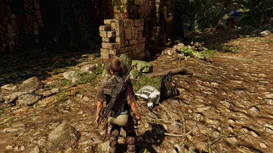 Dónde encontrar plumas de águila en Shadow Of The Tomb Raider