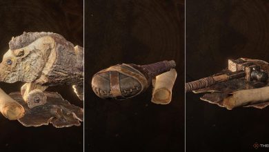 The Lucky Porker, Cherished Flask, and Hef the Hammer Delver Trinkets in Horizon Forbidden West Burning Shores