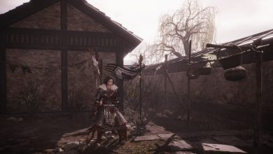 Wo Long: Fallen Dynasty - standing next to a marking flags in the war's flames blaze fiercely mission