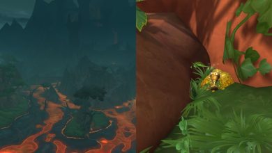 World Of Warcraft Dragonflight Waking Shores Treasures