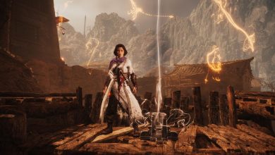 Wo Long: Fallen Dynasty - main character stands by an unclaimed marking flag