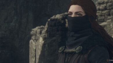 Dragon's Dogma 2: Cómo conseguir cada especialización de peones