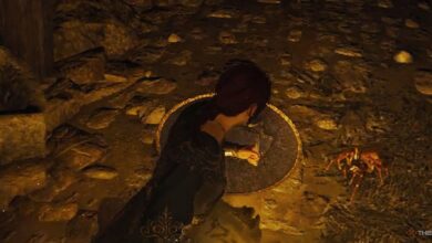 Dragon's Dogma 2: Cómo obtener el saco de veneno de araña