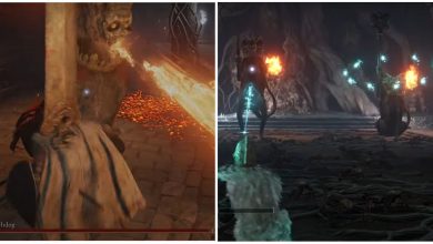 Elden Ring How To Defeat Erdtree Burial Watchdog Duo Feature Image