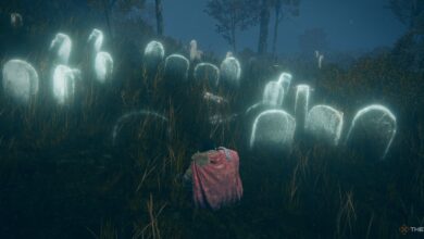 Elden Ring: Shadow Of The Erdtree: ubicación de cada lágrima larvaria