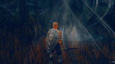 Elden Ring: Shadow Of The Erdtree – Cómo desbloquear manantiales espirituales sellados