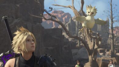Final Fantasy 7 Rebirth: Missing - Tutorial de Mr. Birdie Side Quest