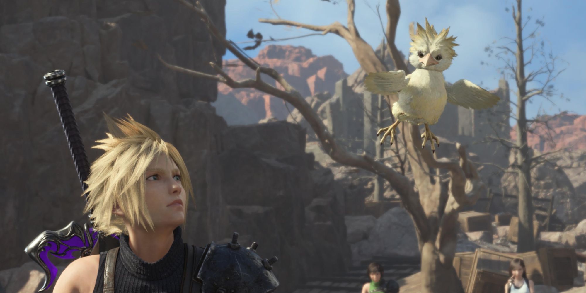 Cloud está mirando a Cloud Jr., que por supuesto es un pájaro - FF7 Rebirth