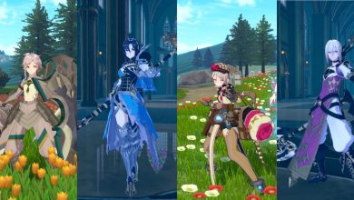 Clanne and Framme As New Optional Classes And Nel And Nil Collage
