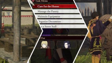 Fire Emblem Chores Feature
