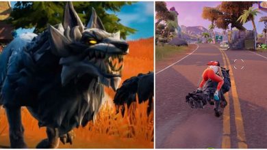 how to tame and ride fortnite
