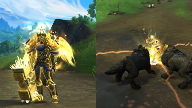 World Of Warcraft Holy Paladin Guide