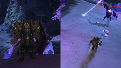 World Of Warcraft Dragonflight Protection Warrior