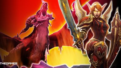 7-World of Warcraft Dragonflight-Holy Paladin Complete Guide Liadrin as a protection Paladin