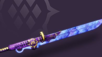Destiny 2 Ecliptic Distaff Glaive