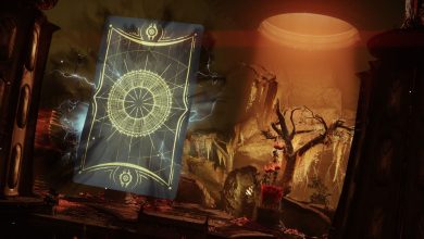 Destiny 2 Season Of The Witch Opaque Card