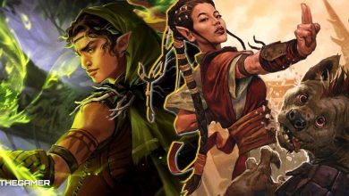Half-Elf Species Guide For D&D