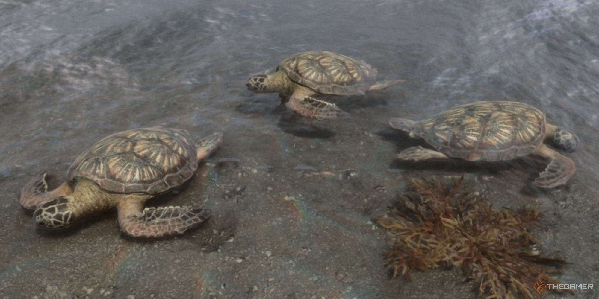 Una captura de pantalla de Sons of the Forest que muestra un grupo de tres tortugas en las partes poco profundas del agua en una playa.