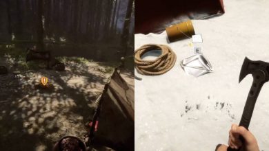 Rope And Cannibal Camp In Sons Of The Forest