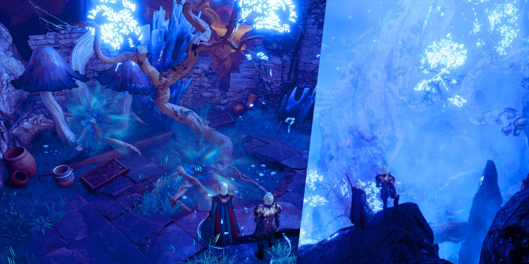Una imagen dividida de jugadores junto a un árbol Sussur en Baldur's Gate 3.
