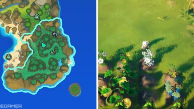 image of tangled mesa on map next to image of hedda and cotton