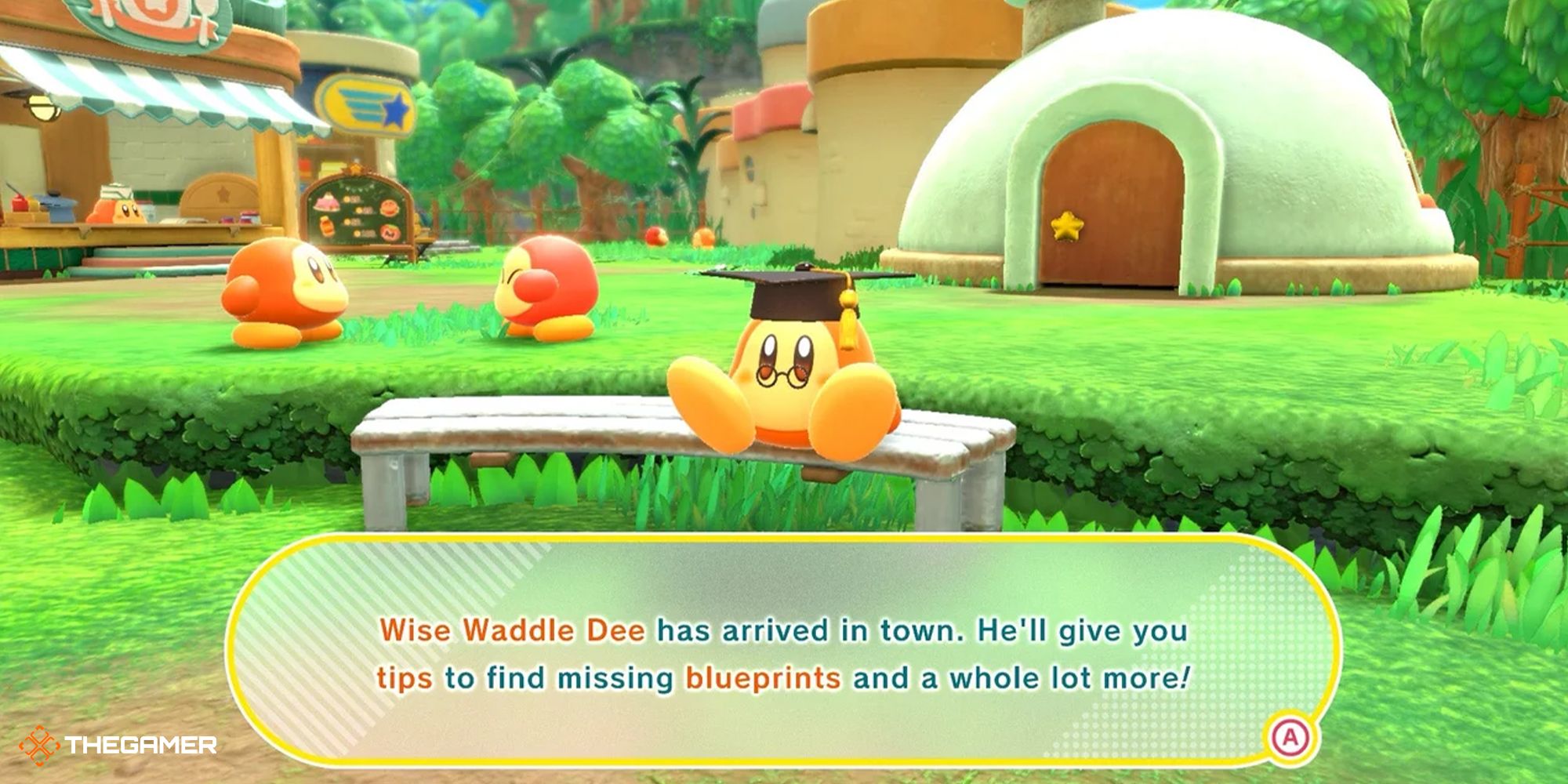 Kirby y la tierra olvidada - Wise Waddle Dee