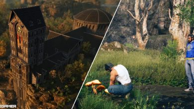 the abbey at dusk and wolverine and the hunter foraging for mushrooms split image