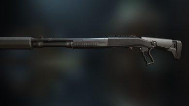 Expedite 12