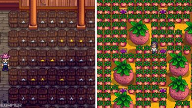 image of player in cask cellar next to image of melon crop fields