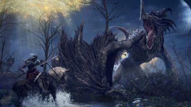 Elden Ring character fighting a dragon