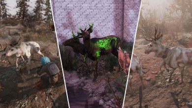 Split image of different radstag in Fallout 76