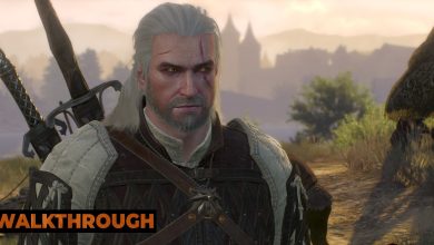 Geralt gives a person a wry look with Novigrad's skyline in the background in the Witcher 3.