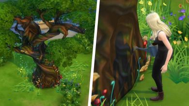 Los Sims 4: Guía de Sylvan Glade