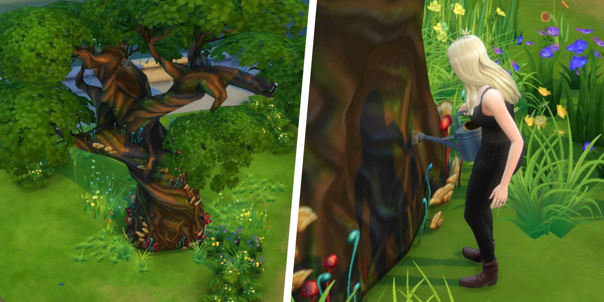 Imagen dividida del árbol del claro y el sim regándolo en Los Sims 4