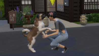 Los Sims 4: Perros y gatos - Cómo entrenar a tus mascotas