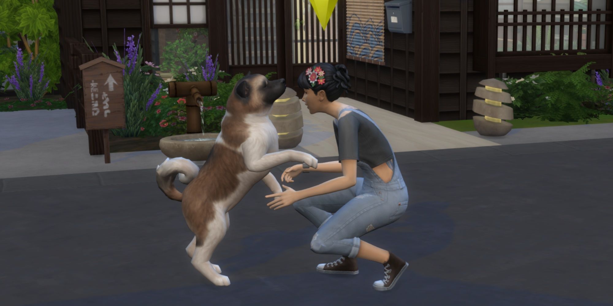 Una imagen de una sim jugando con su perro en Los Sims 4.