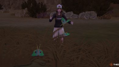 Los Sims 4: Retiro al aire libre: dónde encontrar los insectos