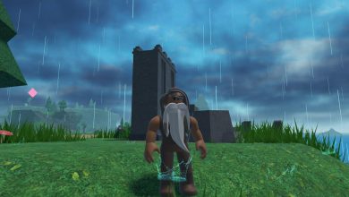 The Survival Game Codes