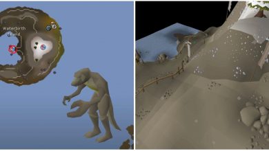 OSRS split Image featuring a map of Waterbirth Island, a screenshot of Waterbirth Island, and a picture of Dagannoth Rex