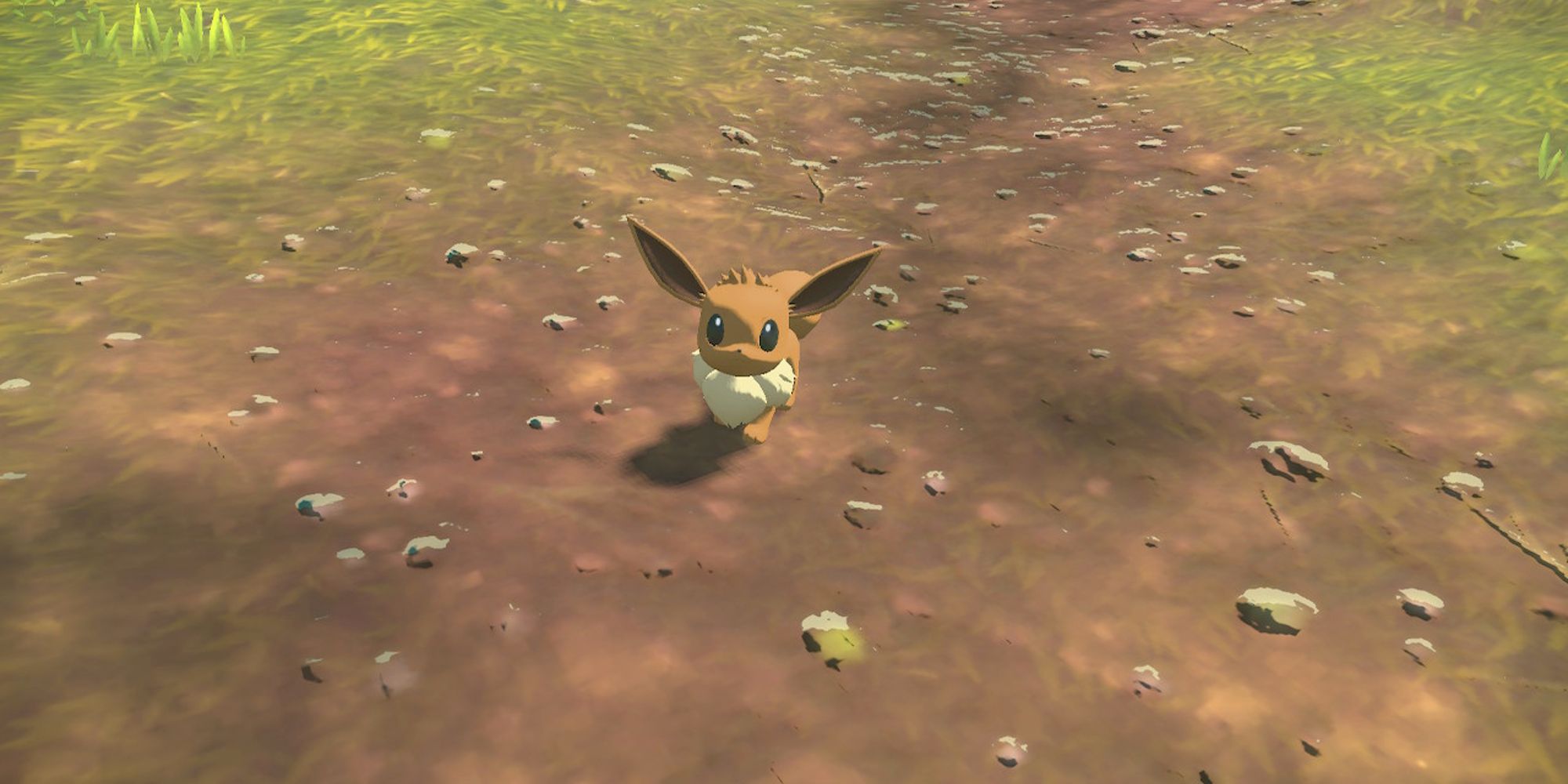 Pokemon Legends: Arceus - Cómo conseguir a Eevee