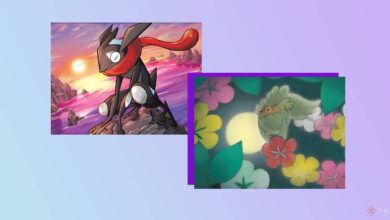 Pokémon TCG: tipos de motores de sorteo y cómo jugarlos