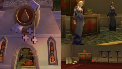 title image Northrend First Aid Guide exterior shop dalaran wotlk classic wow