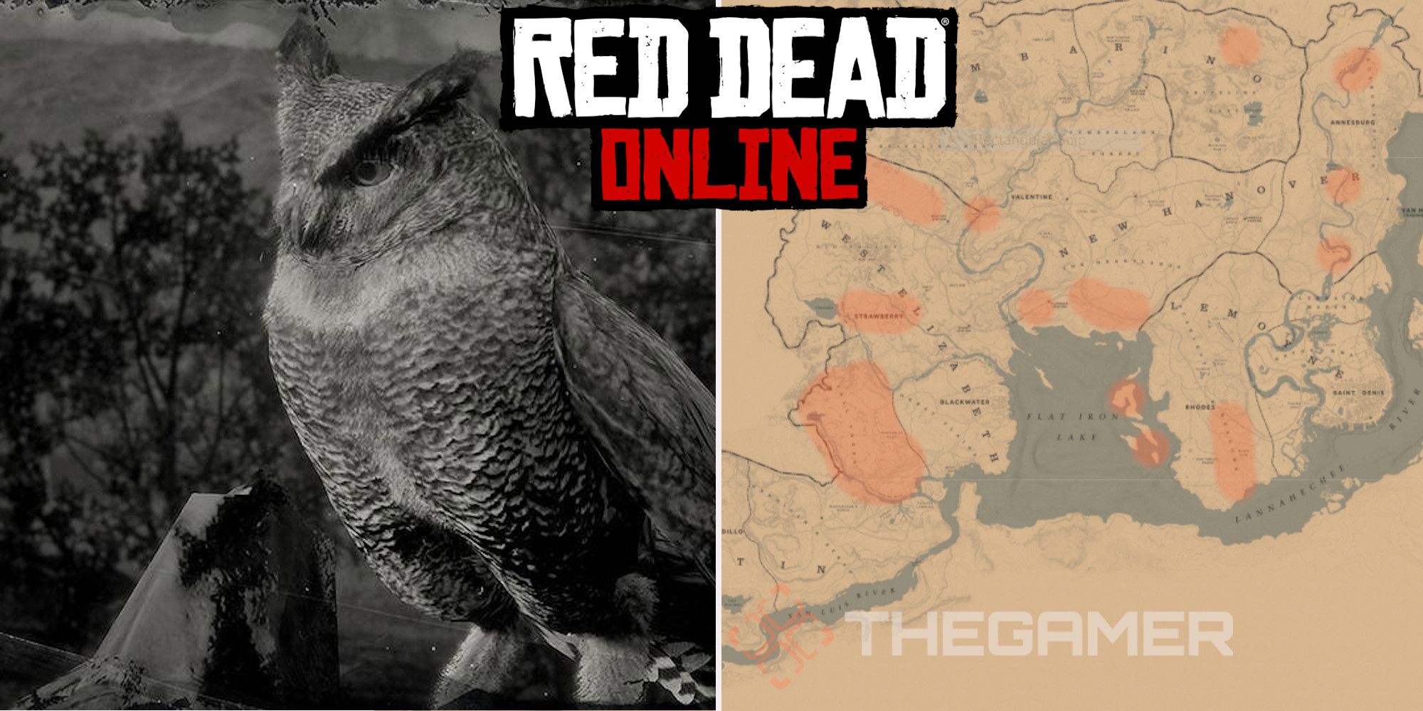 Red Dead Online: Mejores ubicaciones de búhos