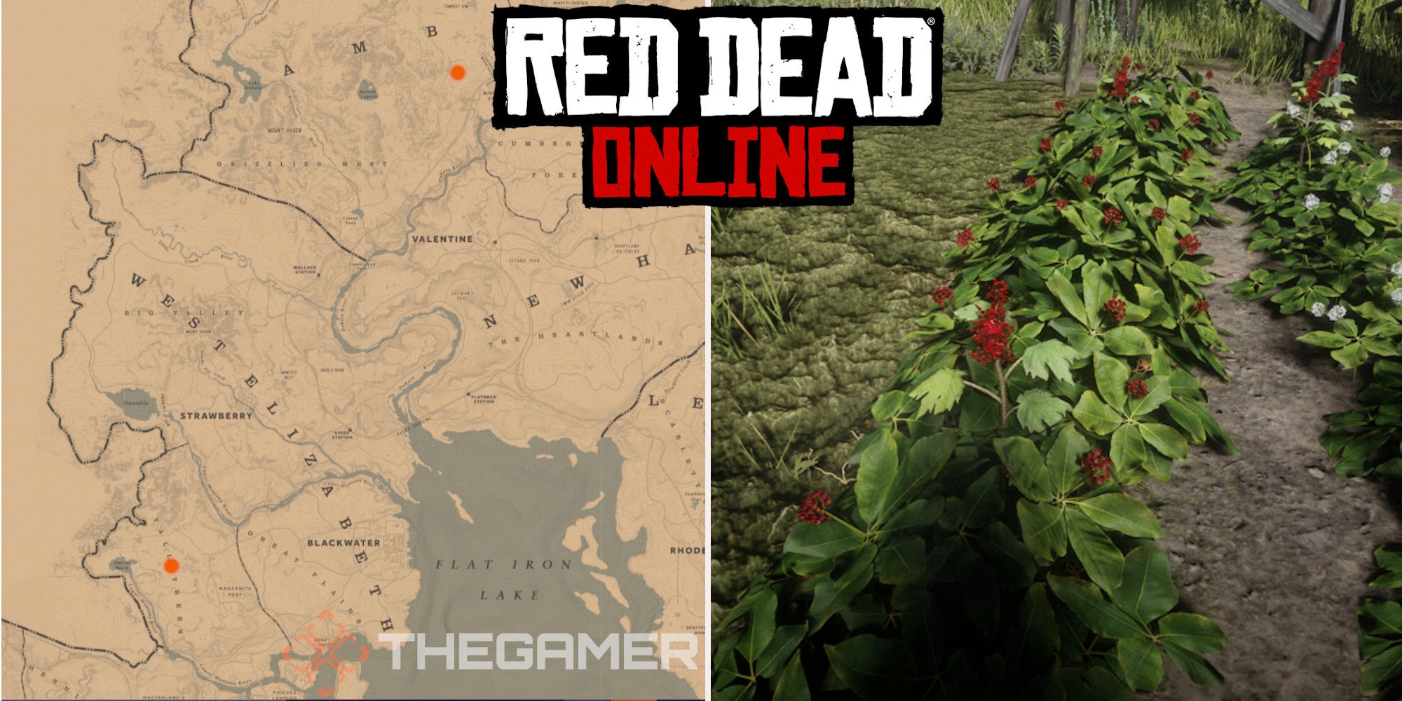 Red Dead Online: Mejores ubicaciones de ginseng de Alaska