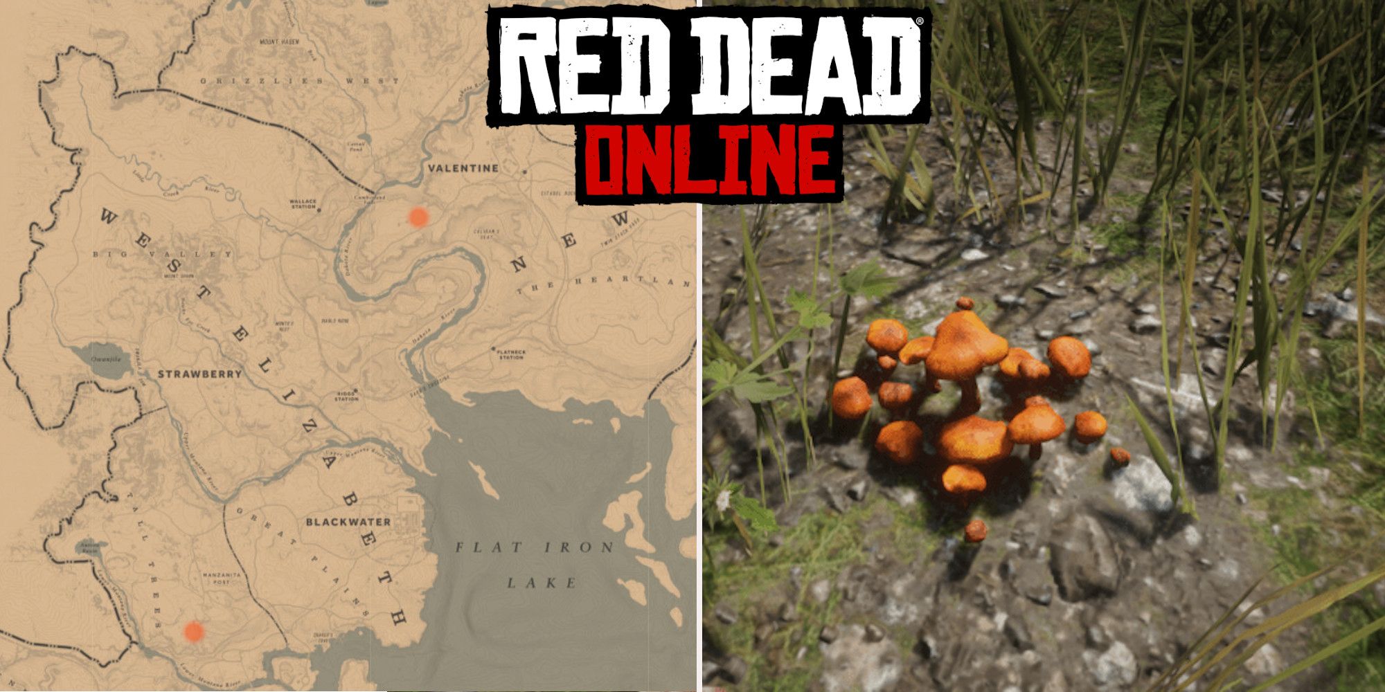 Red Dead Online: las mejores ubicaciones de Bay Bolete