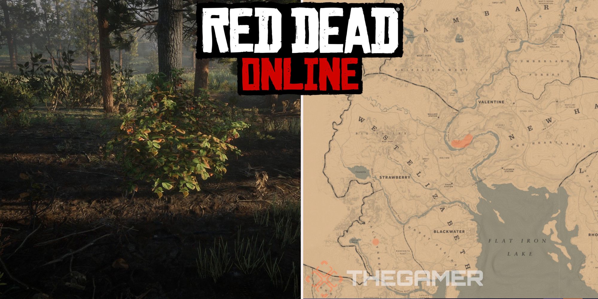 Red Dead Online: las mejores ubicaciones de Blackberry