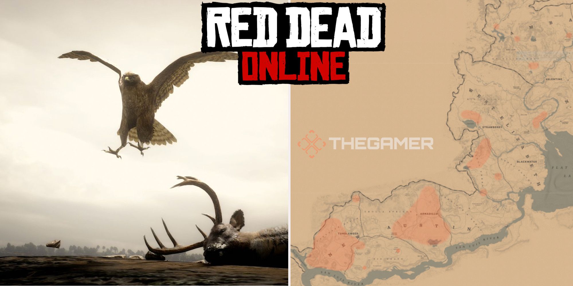 Red Dead Online: las mejores ubicaciones de Hawk