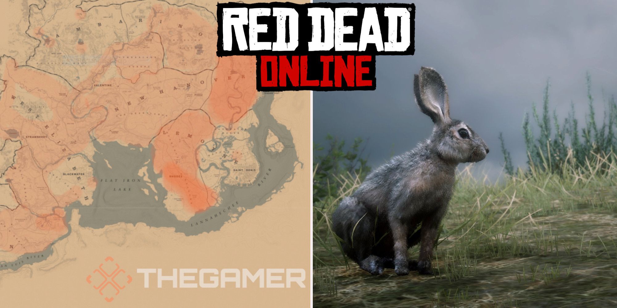 Red Dead Online: las mejores ubicaciones de caza de Jack Rabbit de cola negra