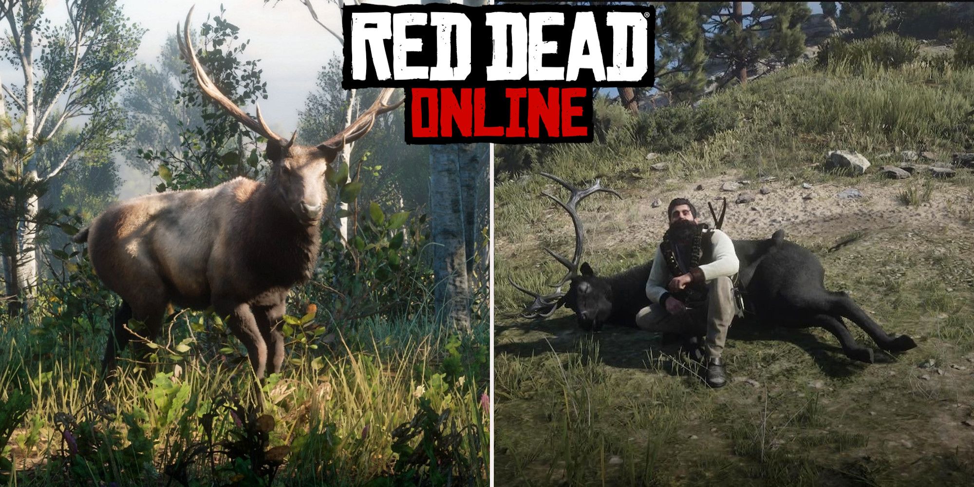 Red Dead Online: las mejores ubicaciones de caza de alces